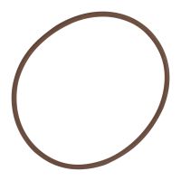 O-Ring Wasserpumpe Groß 3,53x94,84