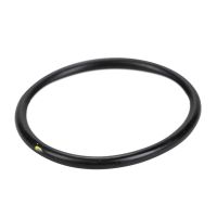 O-Ring Wasserpumpe klein