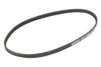 Keilrippenriemen 4PK698