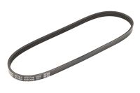 Keilrippenriemen 4K705