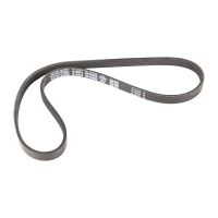 Keilrippenriemen 4K800