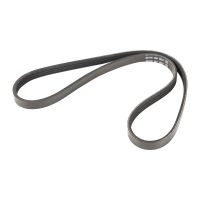 Keilrippenriemen 4K855-6