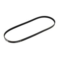 Keilrippenriemen 4K905