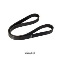 Keilrippenriemen 5K0872-5