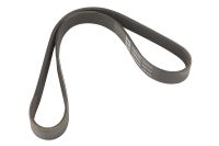 Keilrippenriemen 6K0818-9