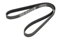 Keilrippenriemen 6K1145