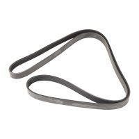 Keilrippenriemen 6K1815