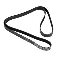 Keilrippenriemen 6K1842