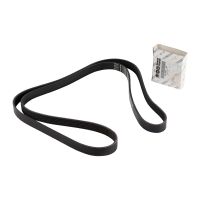 Keilrippenriemen 6K1855