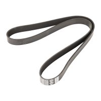 Keilrippenriemen 7PK1240