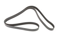 Keilrippenriemen 7K1954