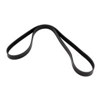 Keilrippenriemen 6x1345 DAYCO