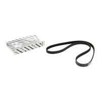 STRETCHY-BELT 4KS1102