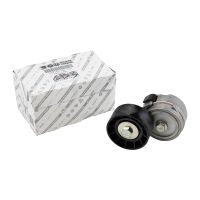 Flachriemenspannrolle mit Spannarm