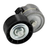 Flachriemenspannrolle mit Spannarm