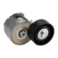 Flachriemenspannrolle mit Spannarm