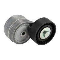 Flachriemenspannrolle mit Spannarm