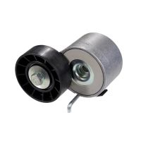 Flachriemenrolle mit Spannarm DAYCO