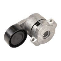 Flachriemenspannrolle mit Spannarm