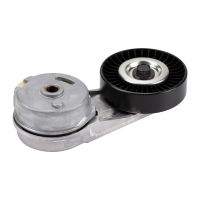 Flachriemenspannrolle mit Spannarm