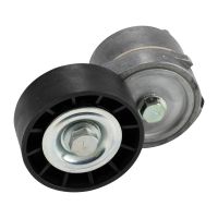 Flachriemenspannrolle mit Spannarm