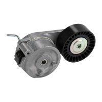 Flachriemenspannrolle mit Spannarm