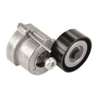 Flachriemenspannrolle mit Spannarm OE