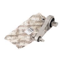 Drehmomentstütze hinten Motor