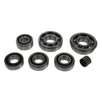 Getriebelagersatz für Fiat Getriebe nicht für Seat Getriebe