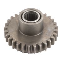 Rückwärtsgangzahnrad