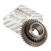 Getriebezahnrad 39 / 31