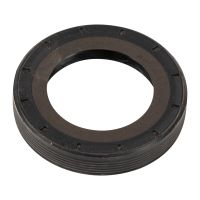 Radlagerwedi hinten außen