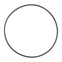 O-Ring für Radlager hinten