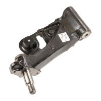 Schwingarm hinten rechts