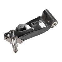 Schwingarm hinten rechts