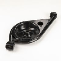 Schwingarm hinten rechts mit Federteller