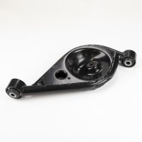 Schwingarm hinten links mit Federteller