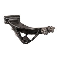 Schwingarm hinten rechts mit ABS