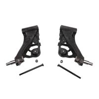 Satz Schwingarm hinten rechts & links