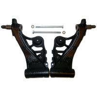 Satz Schwingarm hinten rechts & links