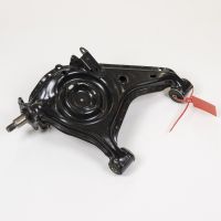 Dreieckslenker hinten links