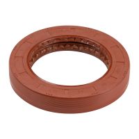 Wedi Hinterachse Eingang