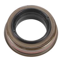 Dichtring Antriebswellenlagerung