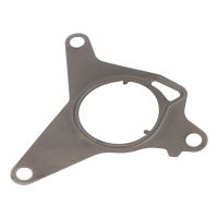 Dichtung für die Vakuumpumpe