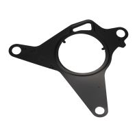 Dichtung für die Vakuumpumpe