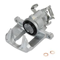 Bremszange hinten rechts kleine Bremse