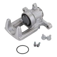 Bremssattel hinten rechts