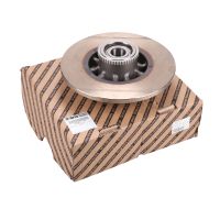 Bremsscheibe hinten mit Lager original