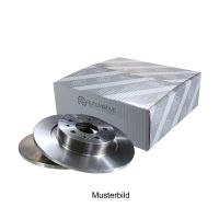 Bremsscheibe hinten voll Ø 264 mm