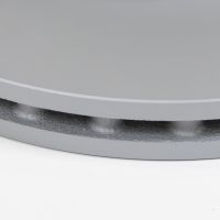 Bremsscheibe vorn innenbelüftet 300 Ø mm